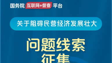 wwwcom日我软件国务院“互联网+督查”平台公开征集阻碍民营经济发展壮大问题线索